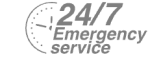 24/7 Emergency Service Pest Control in North Feltham, East Bedfont, TW14. Call Now! 020 8166 9746