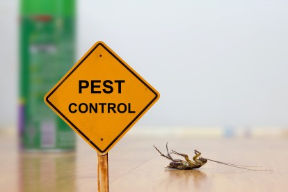 Pest Contol in North Feltham, East Bedfont, TW14. Call Now 020 8166 9746